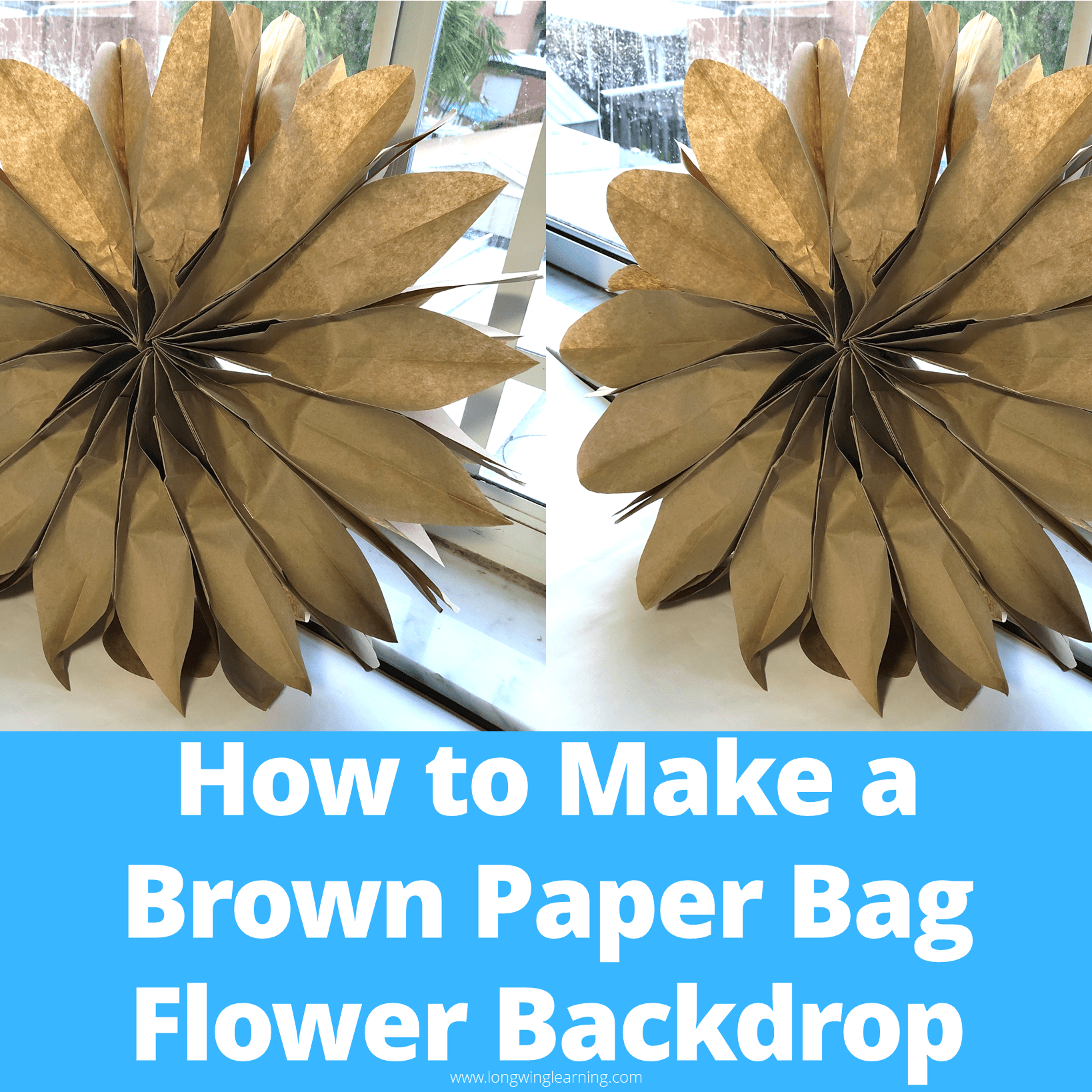 How To Make A Brown Paper Bag Flower Backdrop For The Classroom