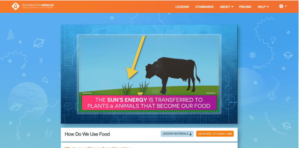 digital science activitiy for food web