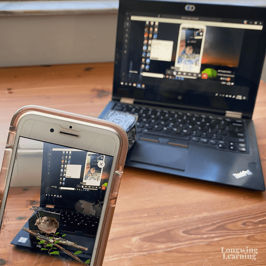 Merge Cube in the Classroom