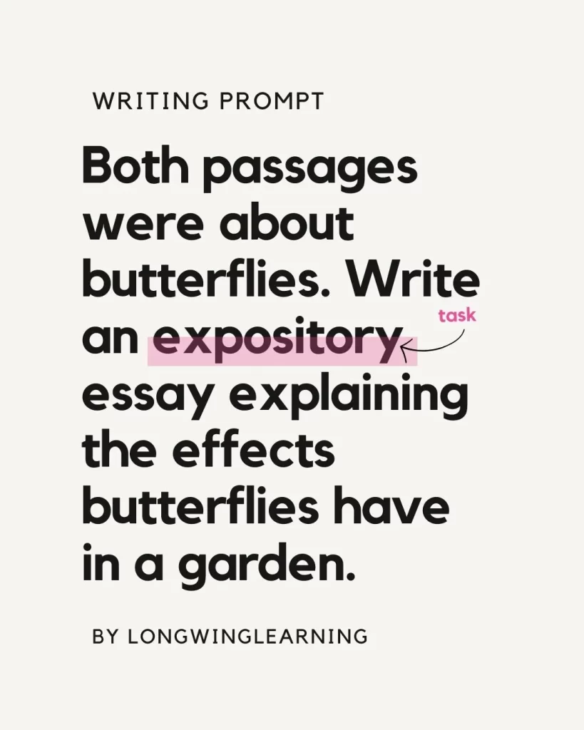 find the task in a writing prompt