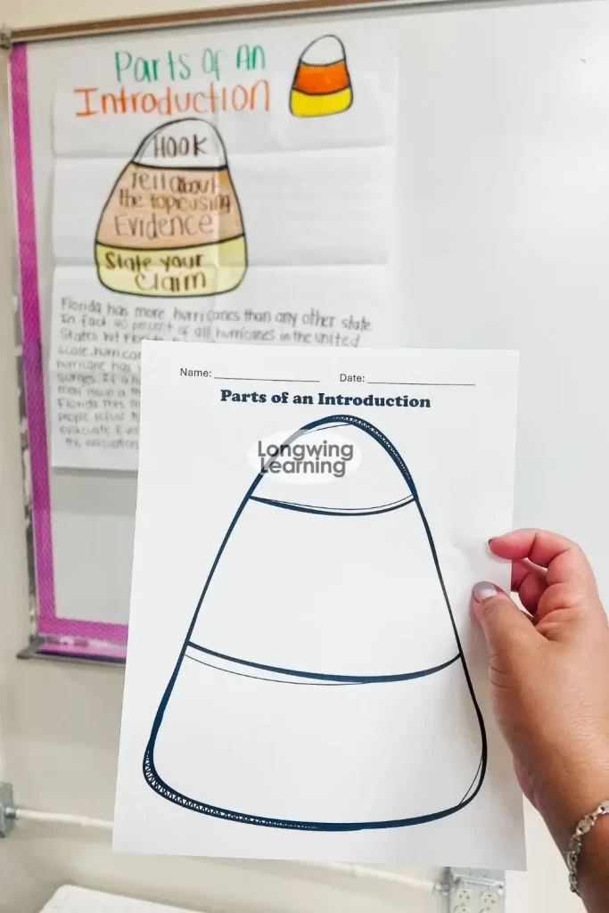 storing writing introduction graphic organizer