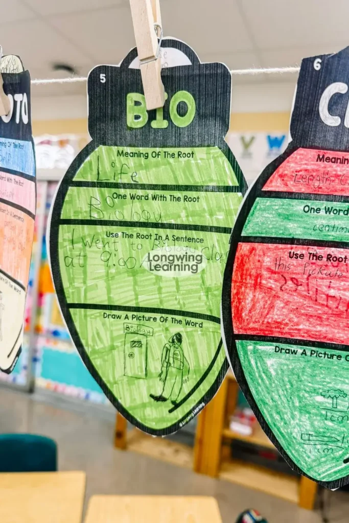 A classroom display featuring rows of brightly colored Christmas bulb templates filled with Greek and Latin root word practice from a Christmas Greek and Latin roots activity.