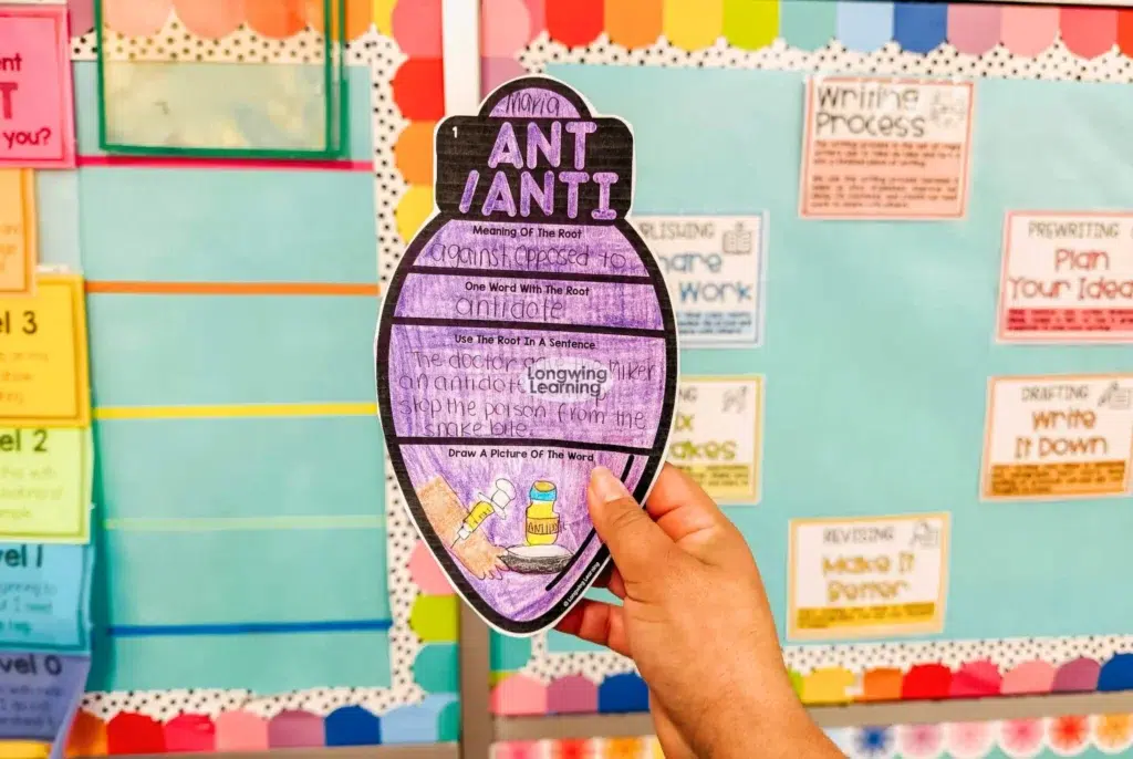 Teacher placing a purple ANTI ornament on a classroom bulletin board as part of a Christmas Greek and Latin roots activity project.