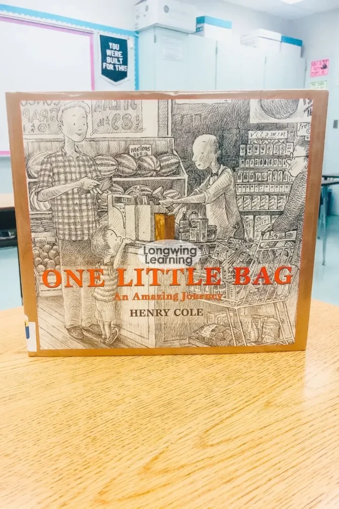 one little bag amazing journey book used for earth day reading lesson upper elementary