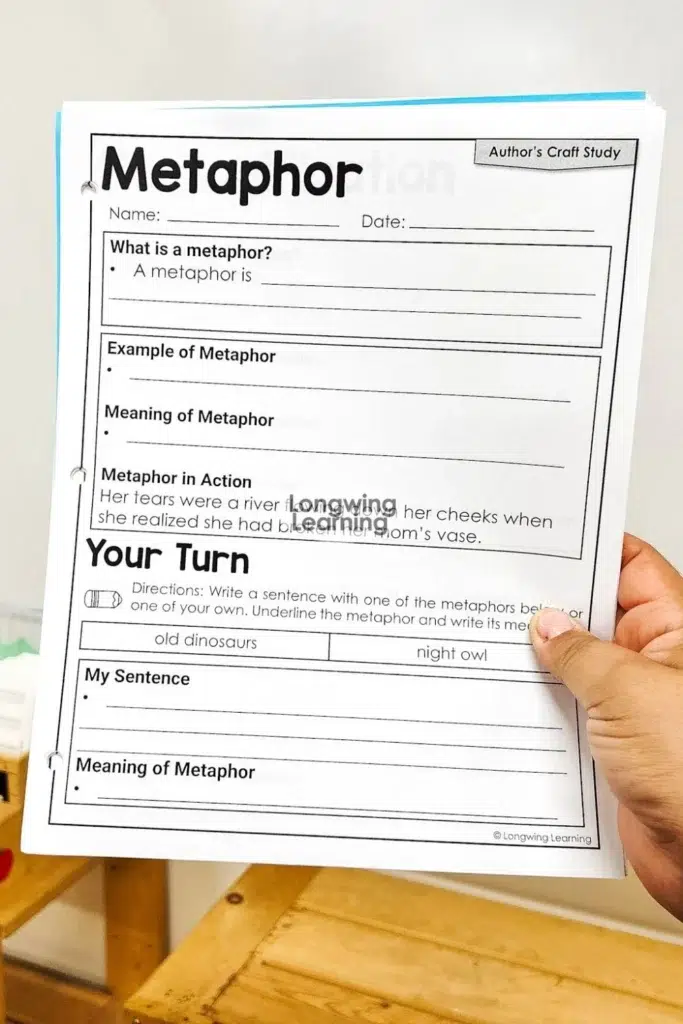 Figurative language definitions and examples worksheet focused on teaching metaphor with student practice page