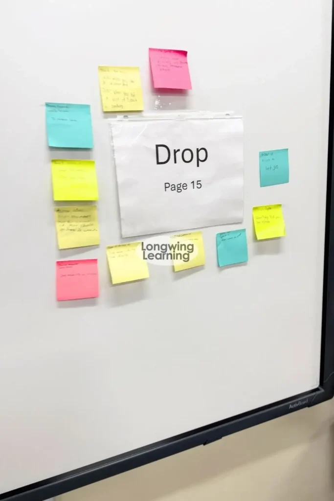 vocabulary homograph activity