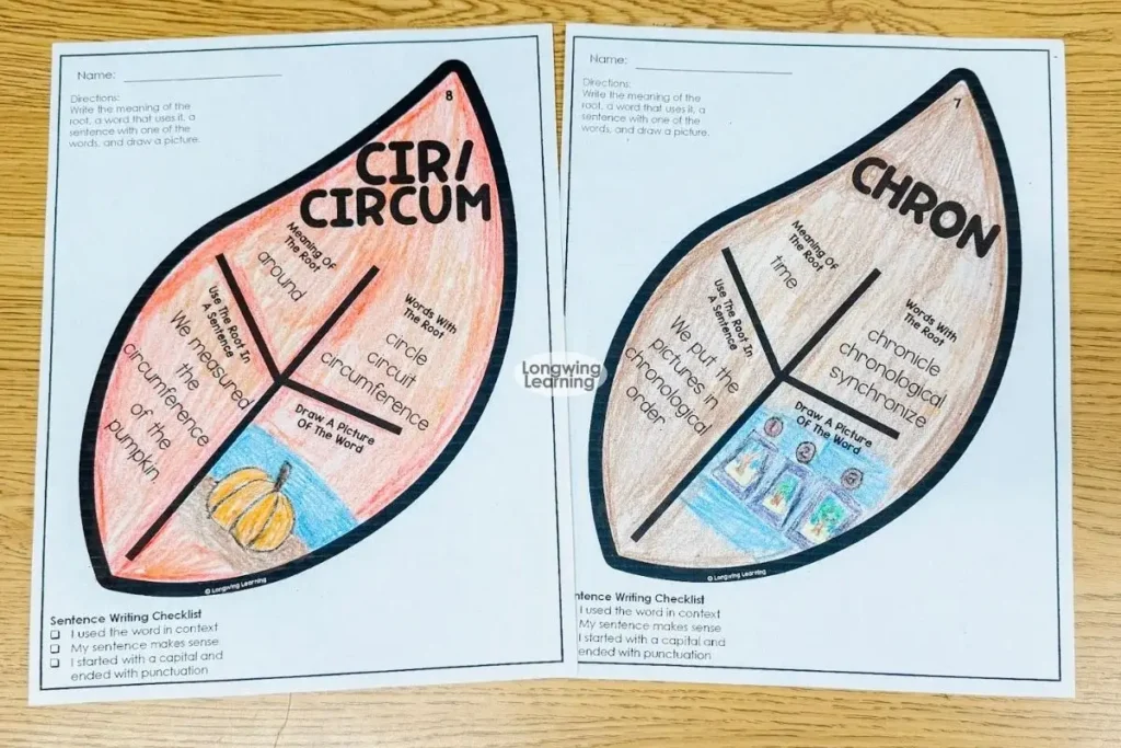 Completed Greek and Latin root word leaf crafts for an upper elementary fall vocabulary activity