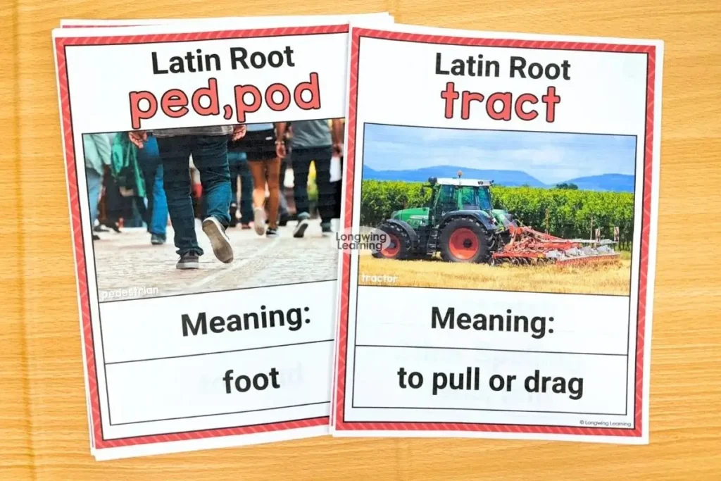 Greek and Latin root word cards for ped, pod, and tract vocabulary practice